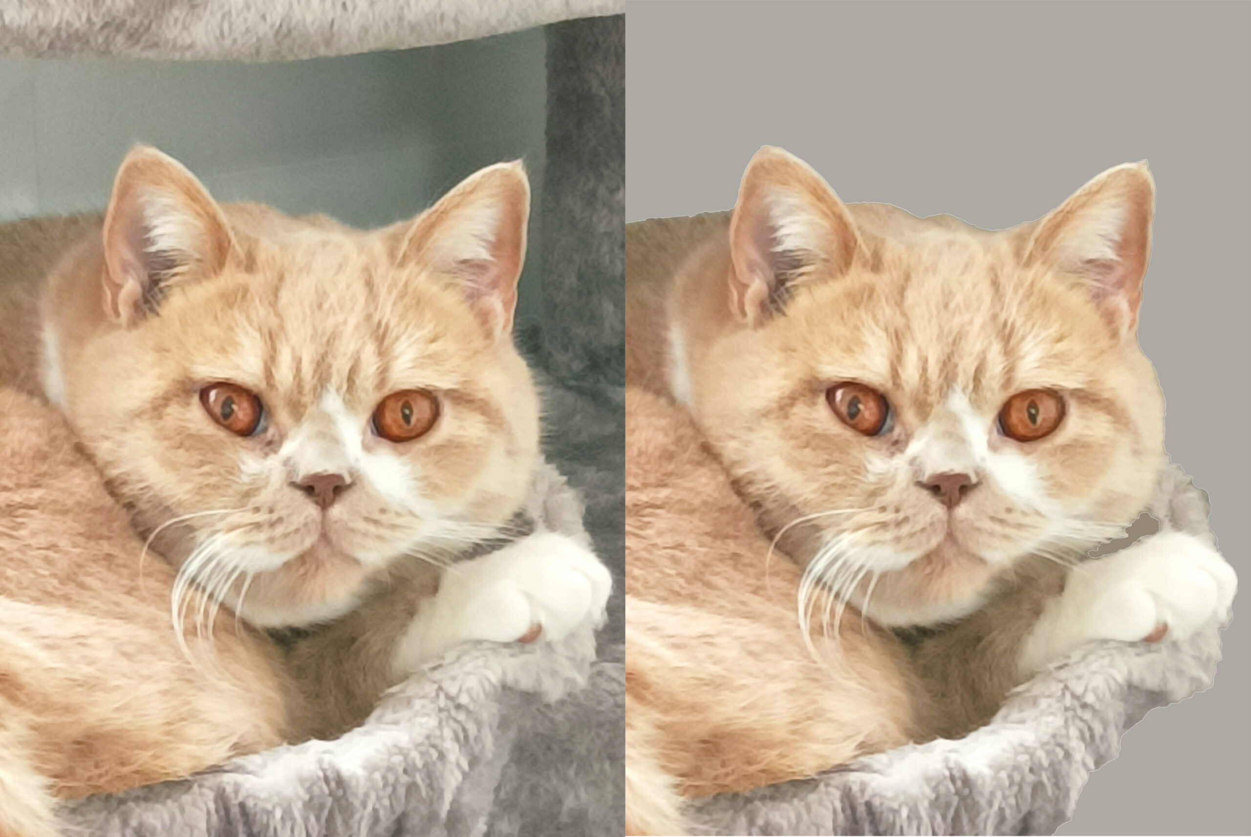 ANtes y despues 1
